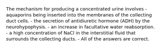 The mechanism for producing a concentrated urine involves - aquaporins being inserted into the membranes of the collecting duct cells. - the secretion of antidiuretic hormone (ADH) by the neurohypophysis. - an increase in facultative water reabsorption. - a high concentration of NaCl in the interstitial fluid that surrounds the collecting ducts. - All of the answers are correct.