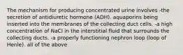 The mechanism for producing concentrated urine involves -the secretion of antidiuretic hormone (ADH). aquaporins being inserted into the membranes of the collecting duct cells. -a high concentration of NaCl in the interstitial fluid that surrounds the collecting ducts. -a properly functioning nephron loop (loop of Henle). all of the above