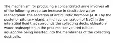 The mechanism for producing a concentrated urine involves all of the following excep tan increase in facultative water reabsorption. the secretion of antidiuretic hormone (ADH) by the posterior pituitary gland. a high concentration of NaCl in the interstitial fluid that surrounds the collecting ducts. obligatory water reabsorption in the proximal convoluted tubule. aquaporins being inserted into the membranes of the collecting duct cells.