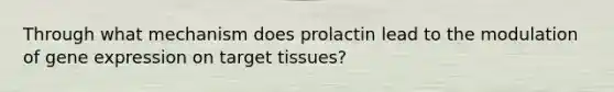 Through what mechanism does prolactin lead to the modulation of <a href='https://www.questionai.com/knowledge/kFtiqWOIJT-gene-expression' class='anchor-knowledge'>gene expression</a> on target tissues?