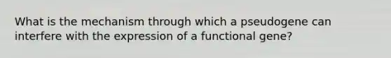 What is the mechanism through which a pseudogene can interfere with the expression of a functional gene?