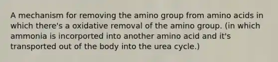 A mechanism for removing the amino group from amino acids in which there's a oxidative removal of the amino group. (in which ammonia is incorported into another amino acid and it's transported out of the body into the urea cycle.)