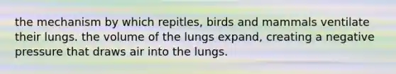 the mechanism by which repitles, birds and mammals ventilate their lungs. the volume of the lungs expand, creating a negative pressure that draws air into the lungs.