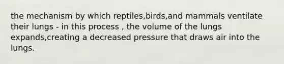 the mechanism by which reptiles,birds,and mammals ventilate their lungs - in this process , the volume of the lungs expands,creating a decreased pressure that draws air into the lungs.