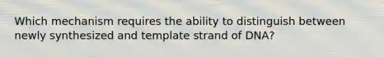 Which mechanism requires the ability to distinguish between newly synthesized and template strand of DNA?