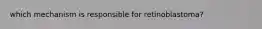 which mechanism is responsible for retinoblastoma?