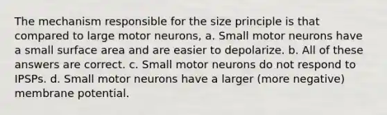 The mechanism responsible for the size principle is that compared to large motor neurons, a. Small motor neurons have a small surface area and are easier to depolarize. b. All of these answers are correct. c. Small motor neurons do not respond to IPSPs. d. Small motor neurons have a larger (more negative) membrane potential.