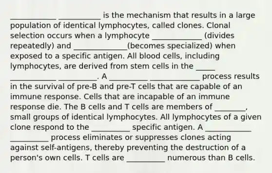 ____________ ___________ is the mechanism that results in a large population of identical lymphocytes, called clones. Clonal selection occurs when a lymphocyte _____________ (divides repeatedly) and ______________(becomes specialized) when exposed to a specific antigen. All blood cells, including lymphocytes, are derived from stem cells in the _____ ____________ __________. A __________ _____________ process results in the survival of pre-B and pre-T cells that are capable of an immune response. Cells that are incapable of an immune response die. The B cells and T cells are members of ________, small groups of identical lymphocytes. All lymphocytes of a given clone respond to the __________ specific antigen. A ____________ __________ process eliminates or suppresses clones acting against self-antigens, thereby preventing the destruction of a person's own cells. T cells are __________ numerous than B cells.