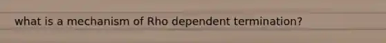 what is a mechanism of Rho dependent termination?