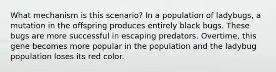 What mechanism is this scenario? In a population of ladybugs, a mutation in the offspring produces entirely black bugs. These bugs are more successful in escaping predators. Overtime, this gene becomes more popular in the population and the ladybug population loses its red color.