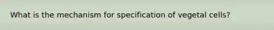 What is the mechanism for specification of vegetal cells?