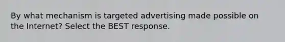 By what mechanism is targeted advertising made possible on the Internet? Select the BEST response.