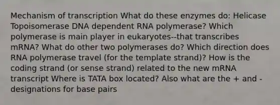 Mechanism of transcription What do these enzymes do: Helicase Topoisomerase DNA dependent RNA polymerase? Which polymerase is main player in eukaryotes--that transcribes mRNA? What do other two polymerases do? Which direction does RNA polymerase travel (for the template strand)? How is the coding strand (or sense strand) related to the new mRNA transcript Where is TATA box located? Also what are the + and - designations for base pairs