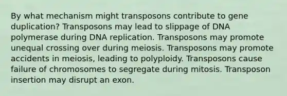 By what mechanism might transposons contribute to gene duplication? Transposons may lead to slippage of DNA polymerase during DNA replication. Transposons may promote unequal crossing over during meiosis. Transposons may promote accidents in meiosis, leading to polyploidy. Transposons cause failure of chromosomes to segregate during mitosis. Transposon insertion may disrupt an exon.