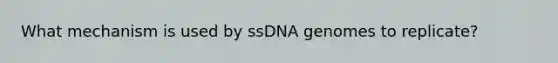 What mechanism is used by ssDNA genomes to replicate?