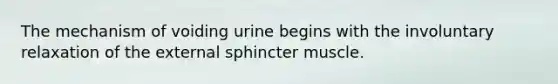 The mechanism of voiding urine begins with the involuntary relaxation of the external sphincter muscle.