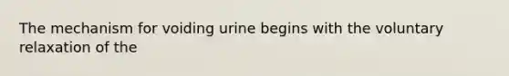 The mechanism for voiding urine begins with the voluntary relaxation of the