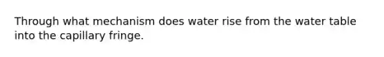 Through what mechanism does water rise from the water table into the capillary fringe.