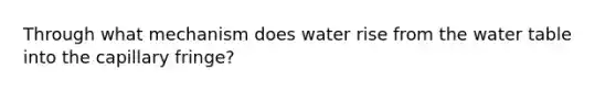 Through what mechanism does water rise from the water table into the capillary fringe?