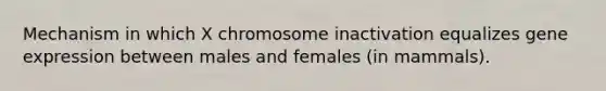 Mechanism in which X chromosome inactivation equalizes gene expression between males and females (in mammals).