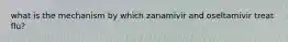 what is the mechanism by which zanamivir and oseltamivir treat flu?