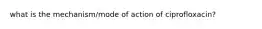 what is the mechanism/mode of action of ciprofloxacin?