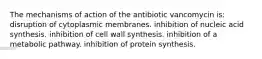 The mechanisms of action of the antibiotic vancomycin is: disruption of cytoplasmic membranes. inhibition of nucleic acid synthesis. inhibition of cell wall synthesis. inhibition of a metabolic pathway. inhibition of protein synthesis.