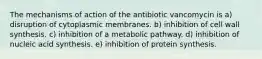 The mechanisms of action of the antibiotic vancomycin is a) disruption of cytoplasmic membranes. b) inhibition of cell wall synthesis. c) inhibition of a metabolic pathway. d) inhibition of nucleic acid synthesis. e) inhibition of protein synthesis.