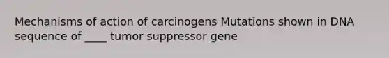 Mechanisms of action of carcinogens Mutations shown in DNA sequence of ____ tumor suppressor gene