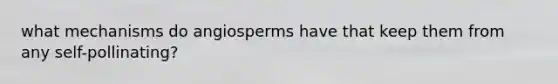 what mechanisms do angiosperms have that keep them from any self-pollinating?