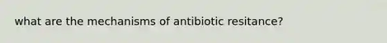 what are the mechanisms of antibiotic resitance?