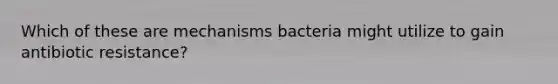 Which of these are mechanisms bacteria might utilize to gain antibiotic resistance?