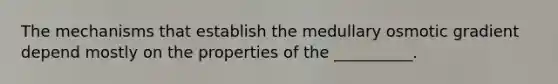 The mechanisms that establish the medullary osmotic gradient depend mostly on the properties of the __________.