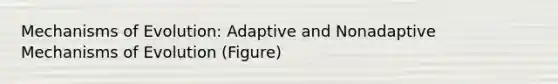 Mechanisms of Evolution: Adaptive and Nonadaptive Mechanisms of Evolution (Figure)