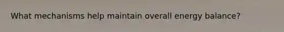 What mechanisms help maintain overall energy balance?