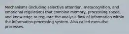 Mechanisms (including selective attention, metacognition, and emotional regulation) that combine memory, processing speed, and knowledge to regulate the analysis flow of information within the information-processing system. Also called executive processes.