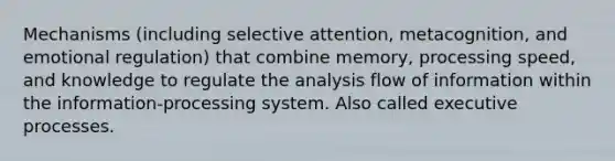 Mechanisms (including selective attention, metacognition, and emotional regulation) that combine memory, processing speed, and knowledge to regulate the analysis flow of information within the information-processing system. Also called executive processes.