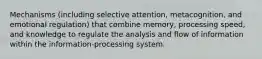 Mechanisms (including selective attention, metacognition, and emotional regulation) that combine memory, processing speed, and knowledge to regulate the analysis and flow of information within the information-processing system.