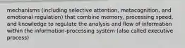 mechanisms (including selective attention, metacognition, and emotional regulation) that combine memory, processing speed, and knowledge to regulate the analysis and flow of information within the information-processing system (also called executive process)