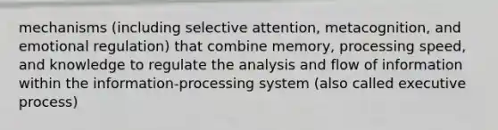 mechanisms (including selective attention, metacognition, and emotional regulation) that combine memory, processing speed, and knowledge to regulate the analysis and flow of information within the information-processing system (also called executive process)