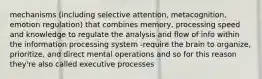 mechanisms (including selective attention, metacognition, emotion regulation) that combines memory, processing speed and knowledge to regulate the analysis and flow of info within the information processing system -require the brain to organize, prioritize, and direct mental operations and so for this reason they're also called executive processes