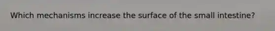 Which mechanisms increase the surface of the small intestine?