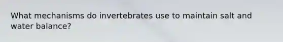 What mechanisms do invertebrates use to maintain salt and water balance?