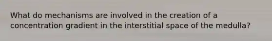 What do mechanisms are involved in the creation of a concentration gradient in the interstitial space of the medulla?