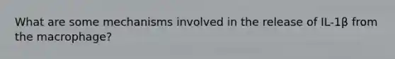What are some mechanisms involved in the release of IL-1β from the macrophage?