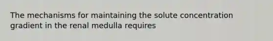 The mechanisms for maintaining the solute concentration gradient in the renal medulla requires
