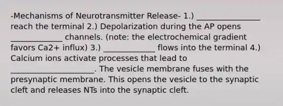 -Mechanisms of Neurotransmitter Release- 1.) ________________ reach the terminal 2.) Depolarization during the AP opens _____________ channels. (note: the electrochemical gradient favors Ca2+ influx) 3.) _____________ flows into the terminal 4.) Calcium ions activate processes that lead to _____________________. The vesicle membrane fuses with the presynaptic membrane. This opens the vesicle to the synaptic cleft and releases NTs into the synaptic cleft.