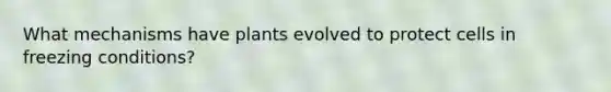 What mechanisms have plants evolved to protect cells in freezing conditions?