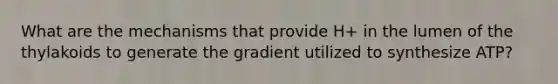 What are the mechanisms that provide H+ in the lumen of the thylakoids to generate the gradient utilized to synthesize ATP?