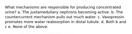 What mechanisms are responsible for producing concentrated urine? a. The juxtamedullary nephrons becoming active. b. The countercurrent mechanism pulls out much water. c. Vasopressin promotes more water reabsorption in distal tubule. d. Both b and c e. None of the above.